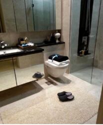 The Boutiq (D9), Apartment #459135861